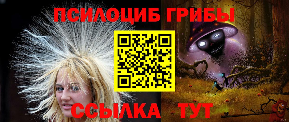 Подольск  Псилоцибиновые грибы Psilocybine cubensis  Вход с VPN 