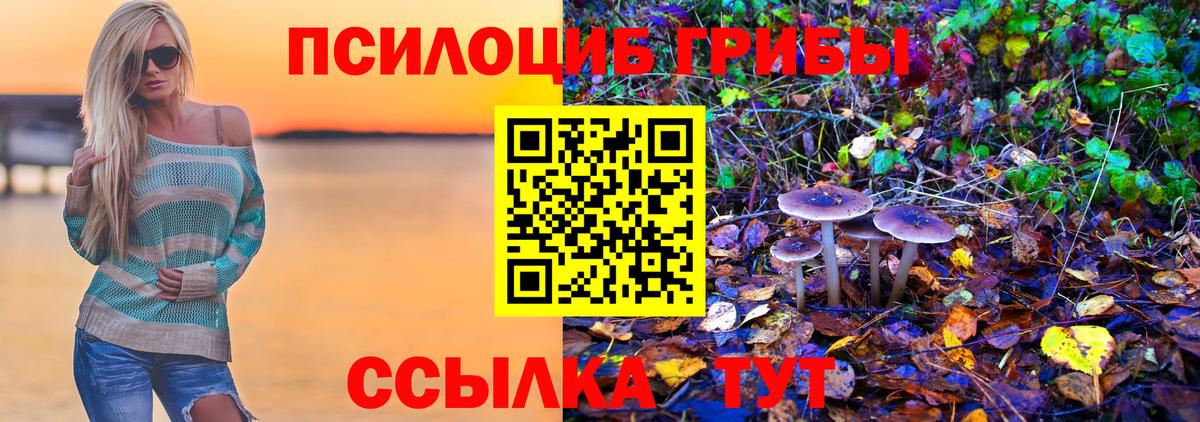 Галлюциногенные грибы мухоморы Подольск